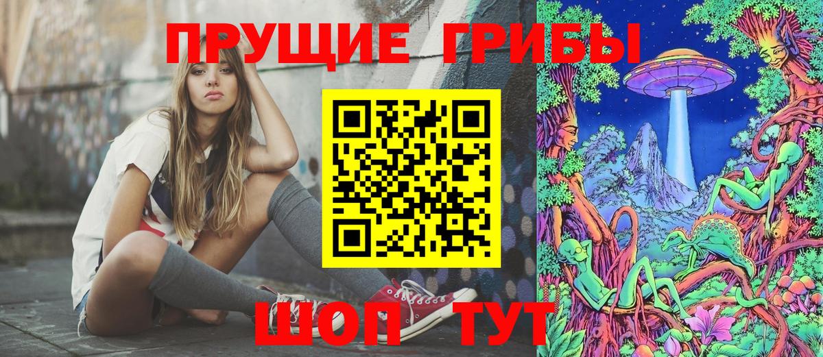 Галлюциногенные грибы прущие грибы Сланцы